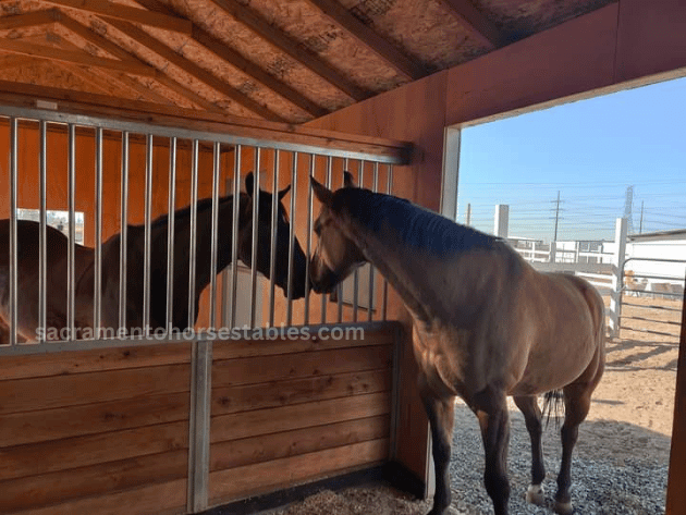 Sacramento Horse Boarding - Horse Boarding, Lessons, and more