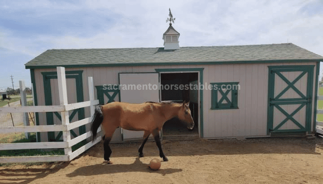 Sacramento horse stables. Chance's house.